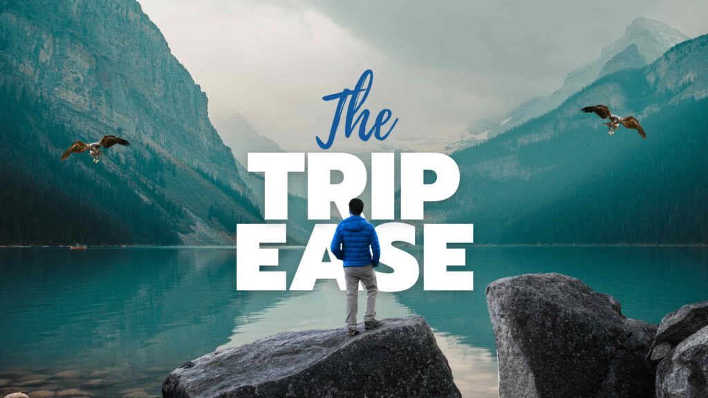 The Trip Ease: Your Trusted Travel Partner In Kashmir